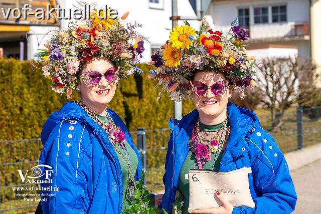 Foto Laudi_Faschingszug_Hofkirchen-8.jpg